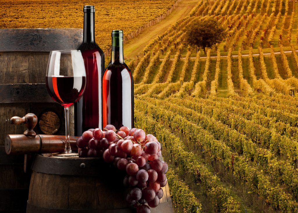 Incentivi per le aziende vinicole: stanziati oltre 21 milioni di euro dal MIPAAFT - scadenza esaurimento fondi