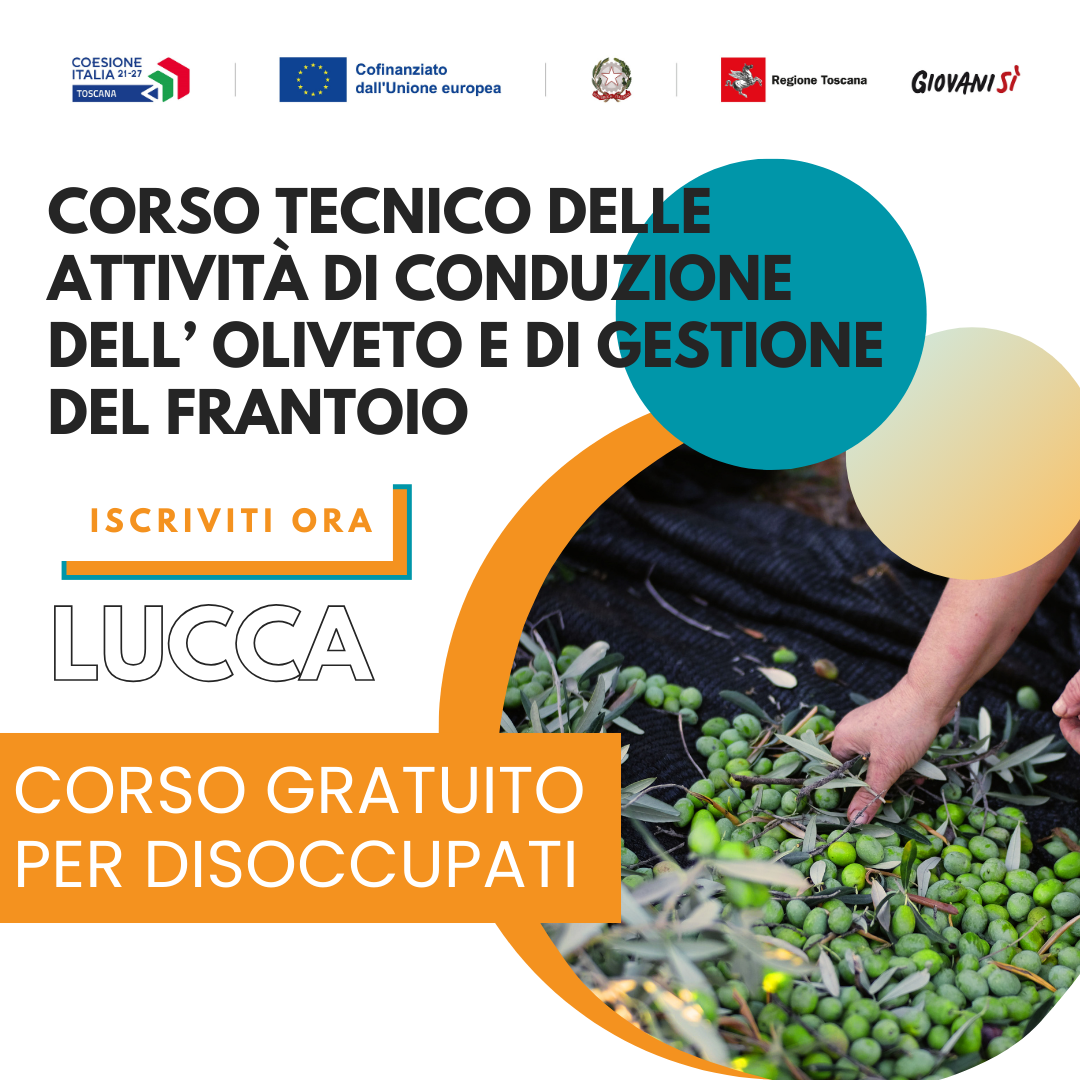 TECNICO DELLE ATTIVITA' DI CONDUZIONE DELL'OLIVETO E DI GESTIONE DELL' OLIO