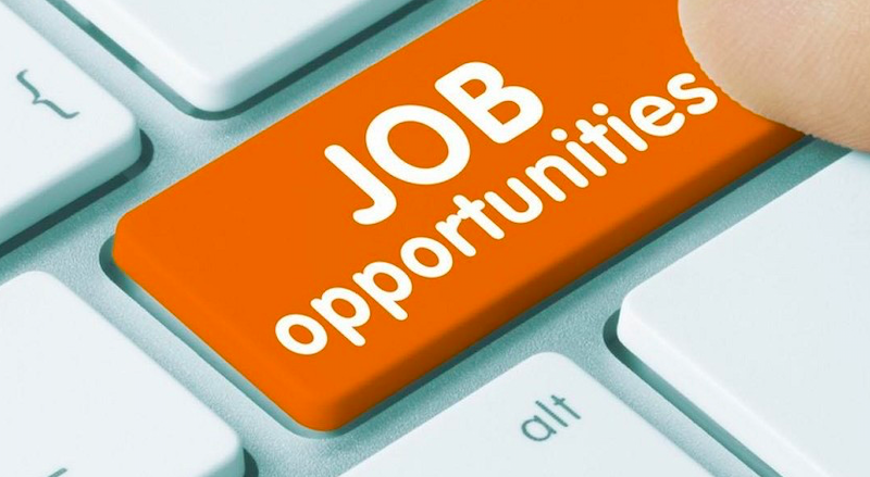 Opportunità di lavoro in provincia di Pisa