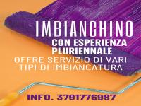 Imbianchino offresi