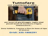 Tuttofare offresi