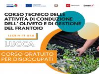 TECNICO DELLE ATTIVITA' DI CONDUZIONE DELL'OLIVETO E DI GESTIONE DELL' OLIO