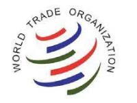 Tirocinio presso World Trade Organization Scadenza 31 dicembre 2023