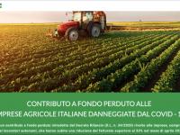 Contributi a fondo perduto: dalla Cia un portale per assistenza e consulenza alle aziende agricole 